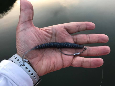 o0480036013906813323