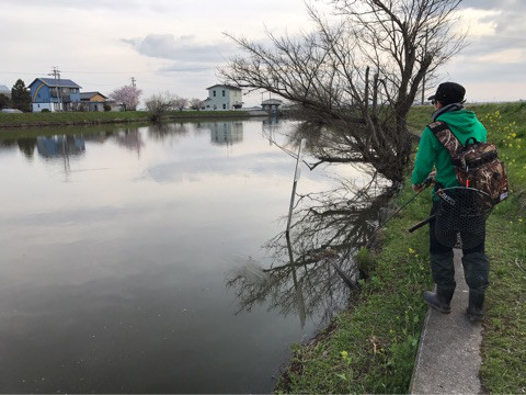 o0480036013910371544