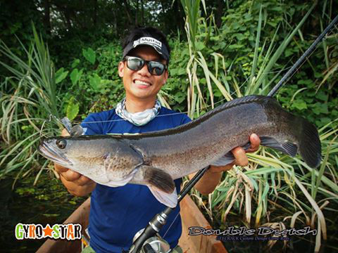 o0480036013916513424