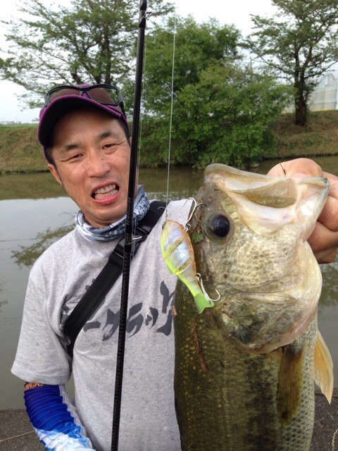 o0480064013913316825