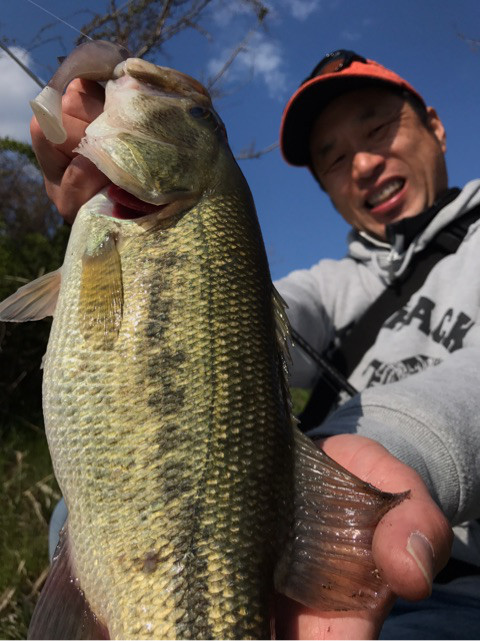 o0480064113907318828