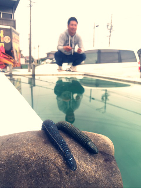 o0480064113908286624