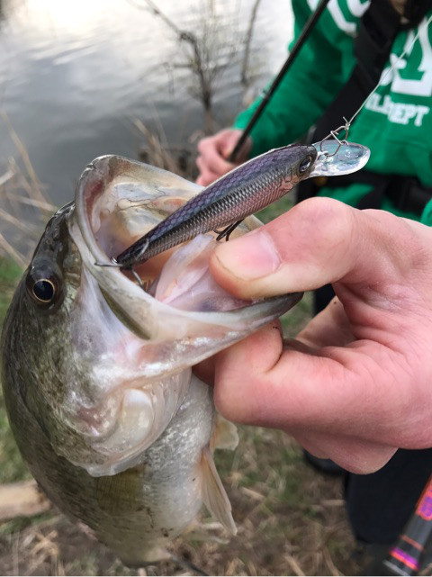 o0480064113910401088