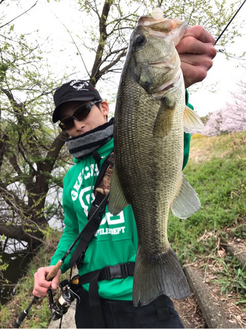 o0480064113910888471