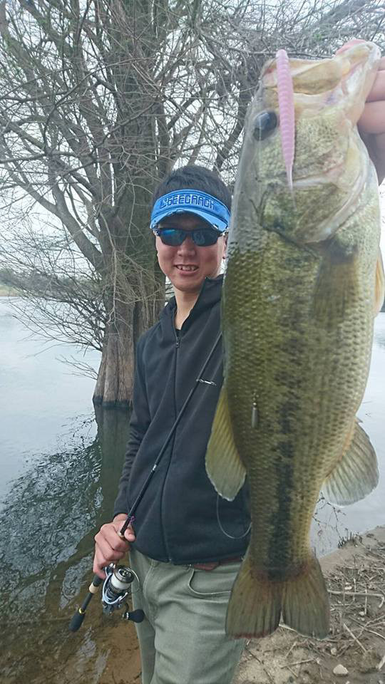 o0540096013907555664