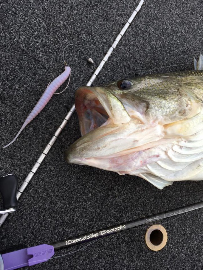 o0720096013911448280