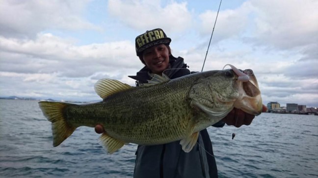 o0960054013911448287