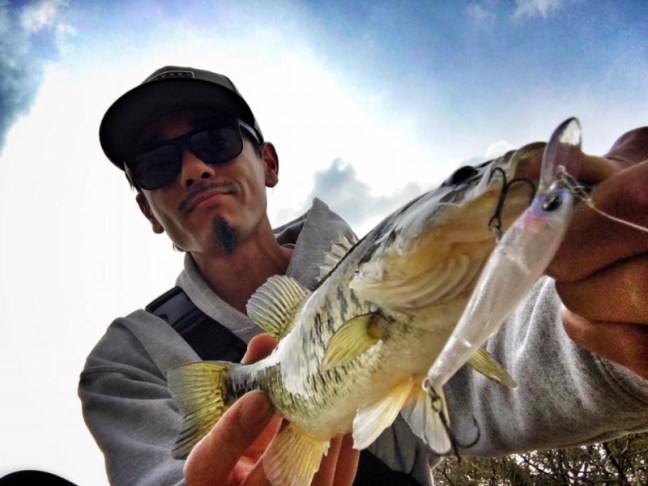 o0960072013907548048