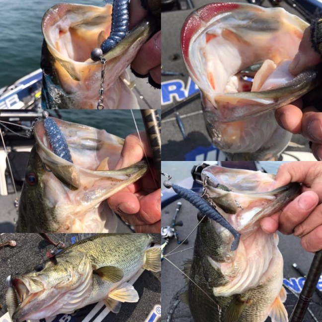 o0960096013914293839