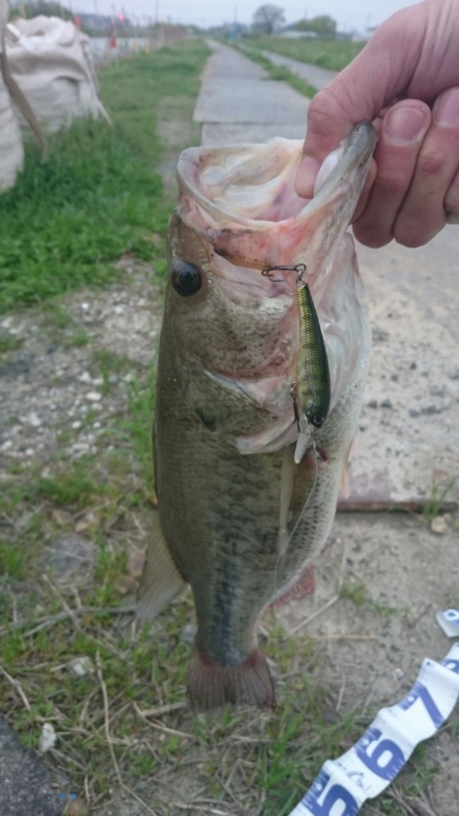 o1080192013920604630