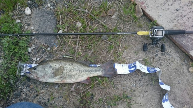 o1920108013920604654