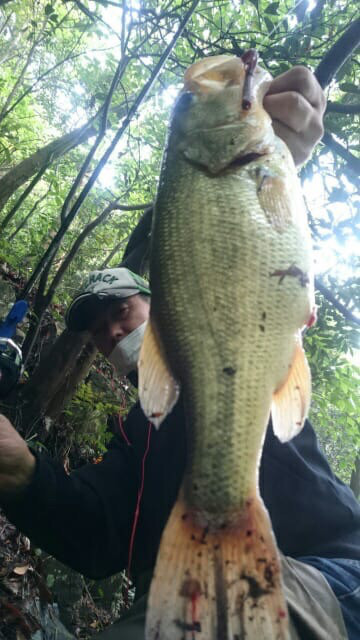 o0360064013938468273