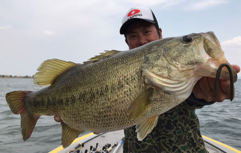 o0480030513925142253