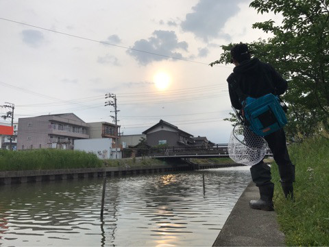 o0480036013937686429