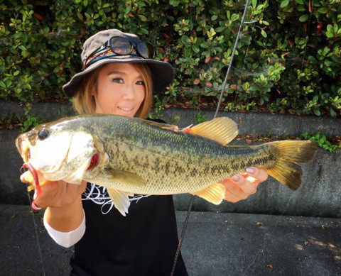 o0480038913942892804