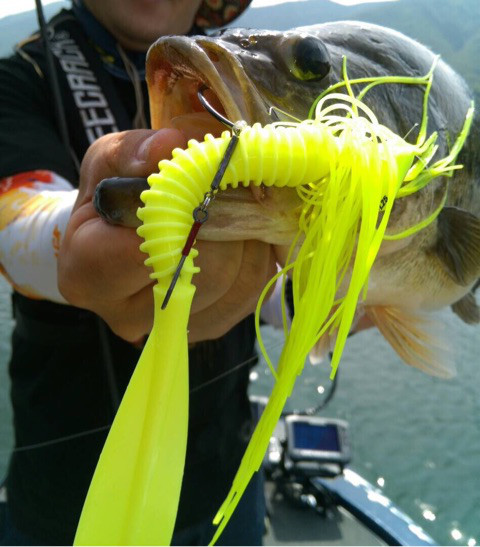 o0480054713928715889