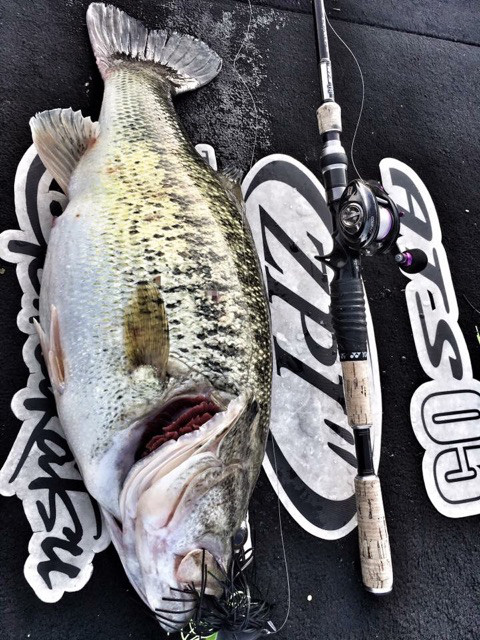 o0480064013924144914