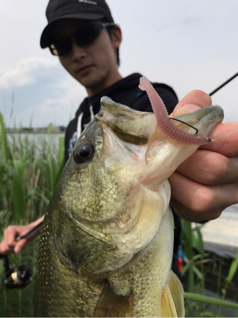 o0480064113937964877