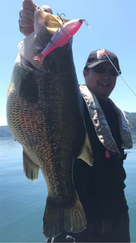 o0480085413942884712