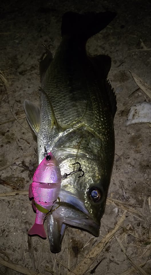 o0528096013944087170