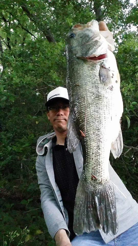 o0540096013936268681