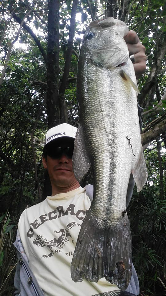 o0540096013939306248