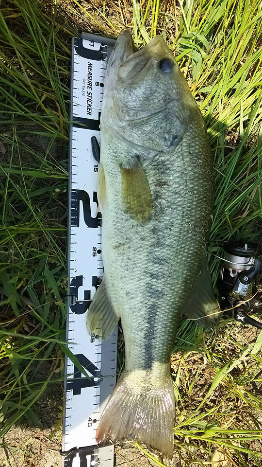 o0540096013944241838