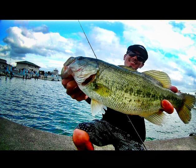 o0629054213930333953