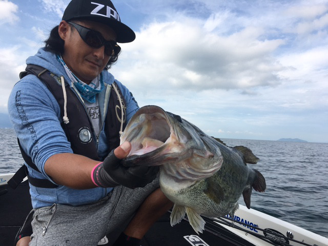 o0640048013948455470