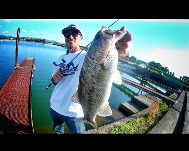 o0692055513930333972