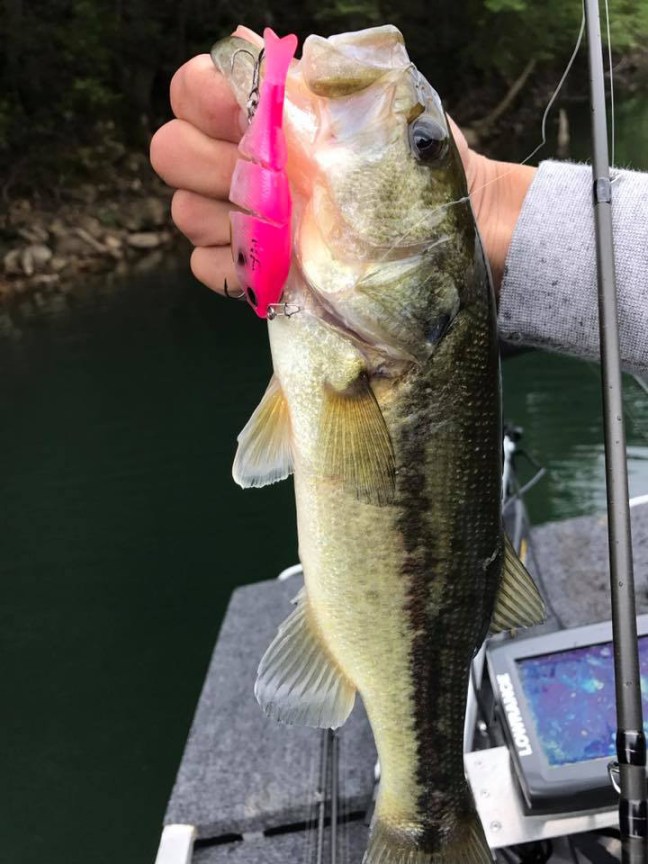 o0720096013932727396