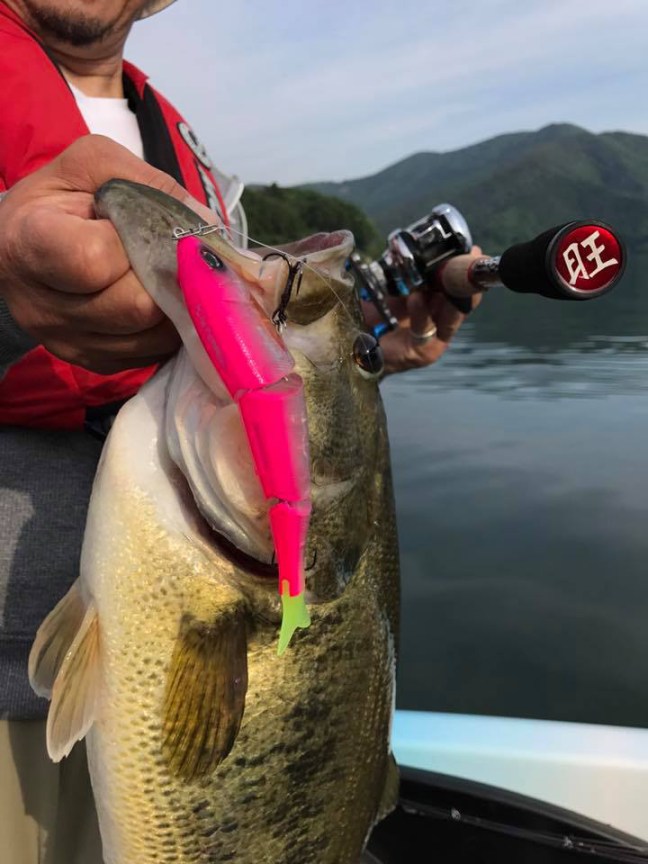 o0720096013943795061