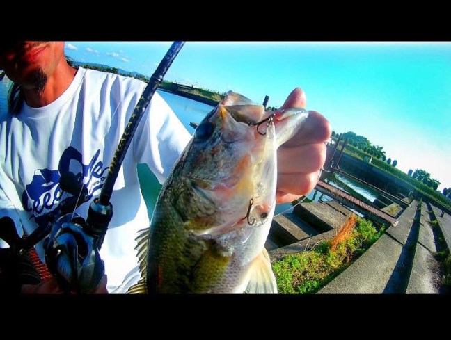 o0750056713930333969