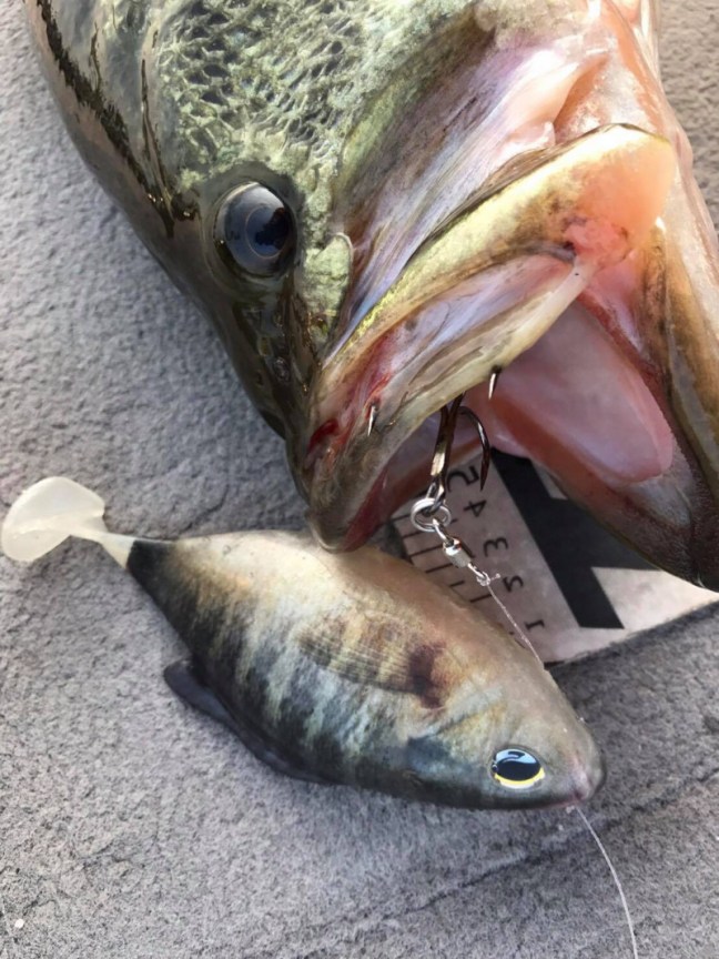 o0800106713940207921