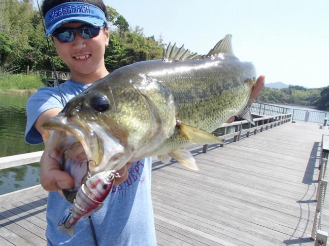 o0960072013936270207