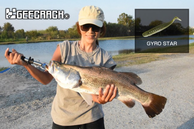 o1000066813927719726