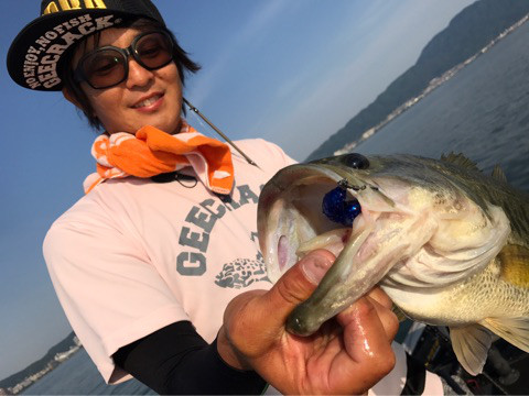 o0480036013943434729