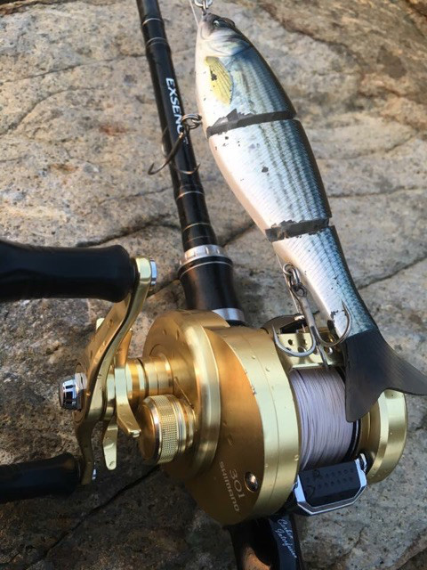 o0480064013956486415