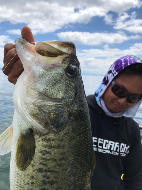 o0480064113947504979