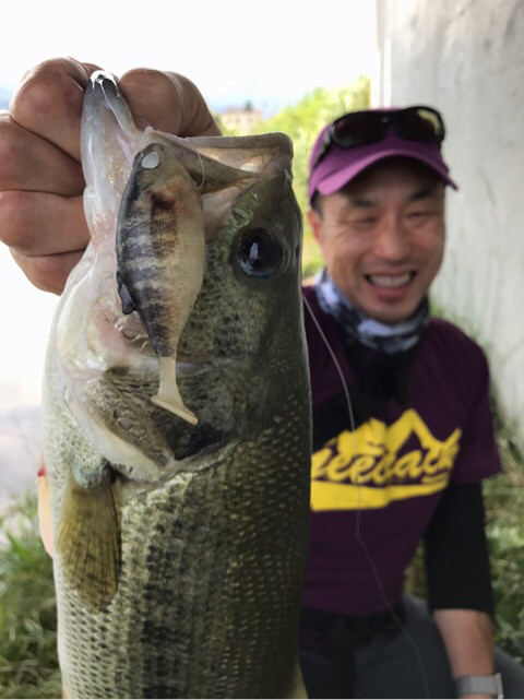 o0480064113950904821