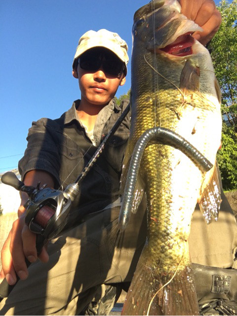 o0480064113956485715