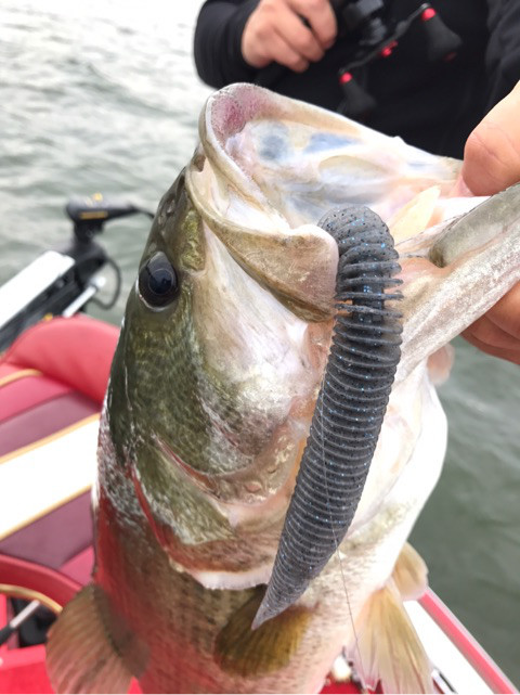 o0480064113964203598