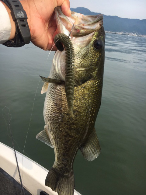 o0480064113965528850