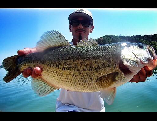 o0513039613965066740