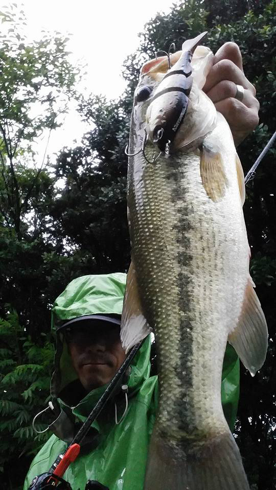 o0540096013966042339