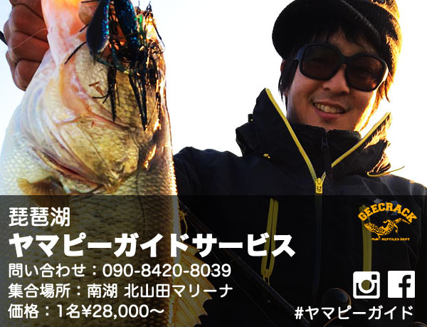 o0600045913899504132 (2)