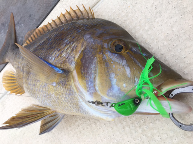 o0640048013951459311