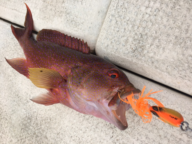 o0640048013951459322