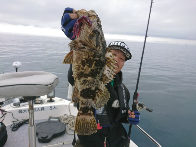 o0654049113964892624