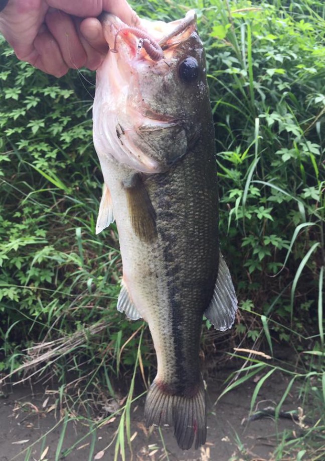 o0678096013960191045